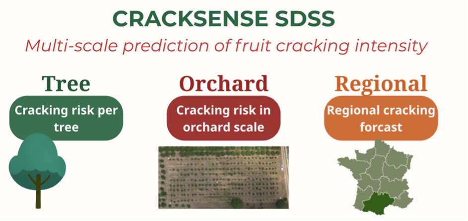 Conceptual overview of the CrackSense SDSS.png